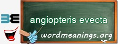 WordMeaning blackboard for angiopteris evecta